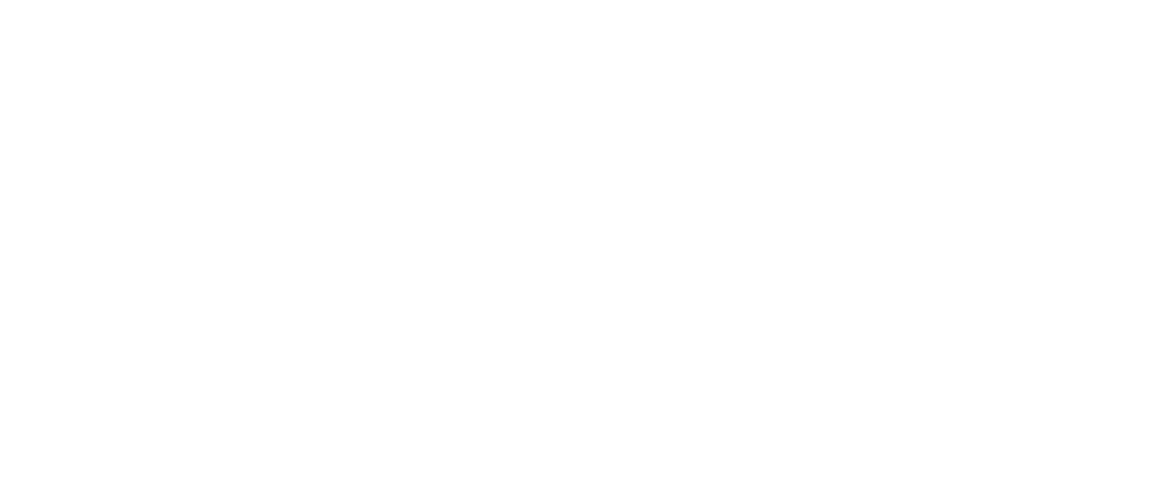 Public Technology Institute (PTI) • Fusion Learning Partners