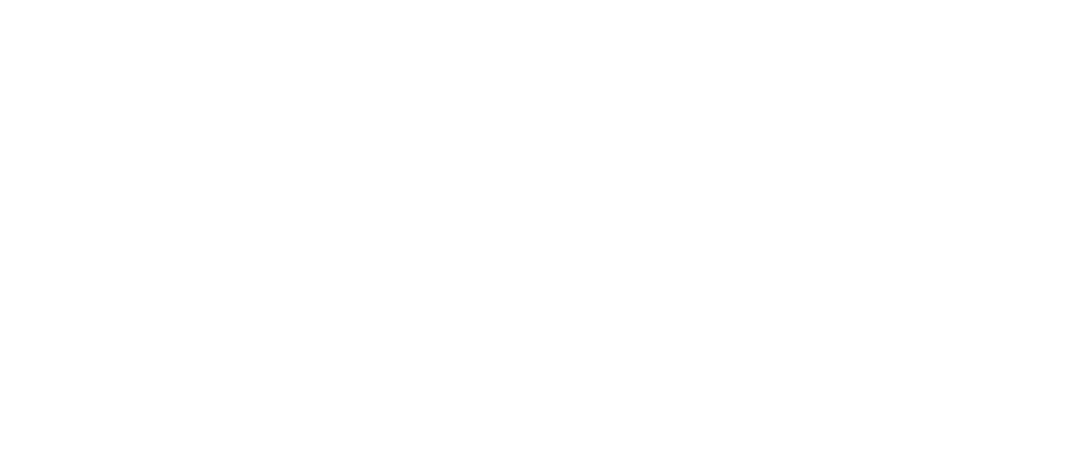 Catalyst Solutions Group - A Division of Fusion Learning Partners Logo